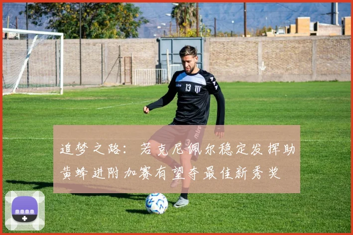 追梦之路：若克尼佩尔稳定发挥助黄蜂进附加赛有望夺最佳新秀奖